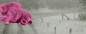 pink elephant in snowy roadway